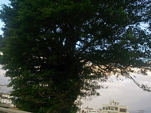 心のそよ風とゆるやかなとき 心のそよ風とゆるやかなとき