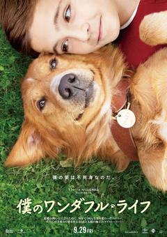 ★「僕のワンダフル・ライフ」 ★「僕のワンダフル・ライフ」