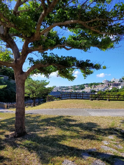 ★金城ダムで見かけた白い鳥は、近づくと逃げた ★金城ダムで見かけた白い鳥は、近づくと逃げた