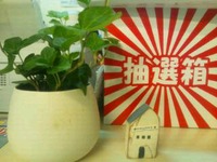 2012年05月19日