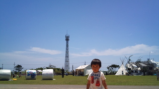 IMF 2011