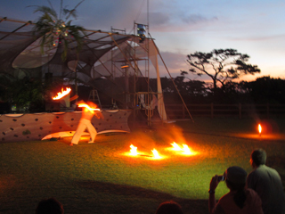 IMF 2011
