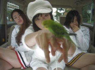愛のむきだし