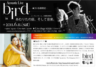 bird Acoustic Live in あむりたの庭、そして音楽。