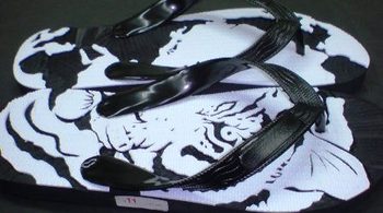 TIGER and Planet
