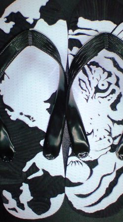 TIGER and Planet