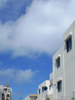 蝉時雨