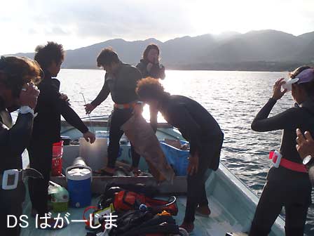 オニヒトデ紛争