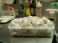 クマ、仕込みに没頭・・・ 2012/05/13 01:23:11