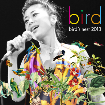 bird “そうだ 沖縄、行こう。” Acoustic Tour 2014（7/11）