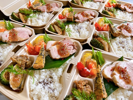 やぶさち弁当 やぶさち弁当