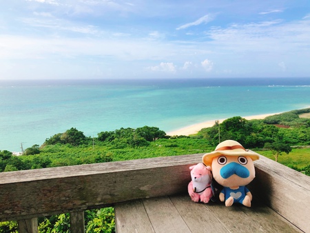 9月3日のやぶさちポイントDAY 9月3日のやぶさちポイントDAY