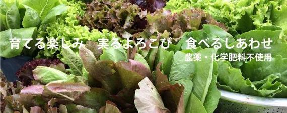 久しぶりに うえのいだアパートに 久しぶりに うえのいだアパートに
