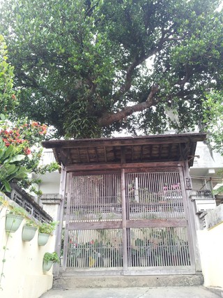 国場散歩①