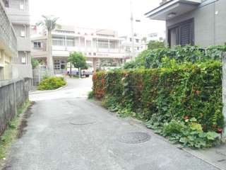 国場散歩①