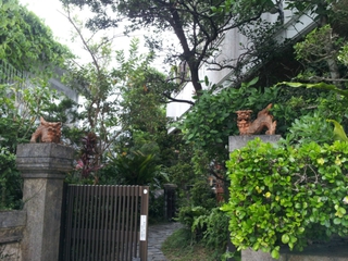 国場散歩①