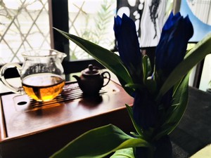 台湾から杉林渓紅茶