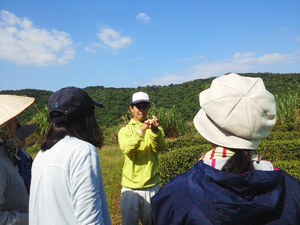 カメリアより・・・沖縄県産紅茶、ついに日本一に！！
