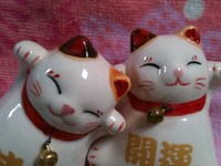 今日で「2000♪」スゴイ嬉し~♪