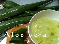 月桃石けんづくり(4日目)