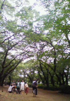 7月31日の土曜日は。