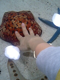∞美ら海水族館∞