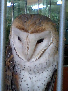 ミニミニ動物園