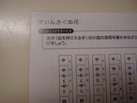 うまくいくかも …
