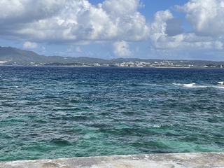 海 海