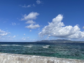 海 海