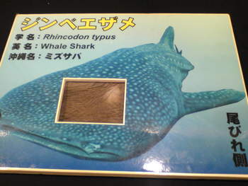 日常ブログ