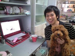トイプードルとたひち
