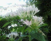 2007年10月10日
