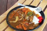離島フェアのピパーツカレー 2010/06/28 11:55:43