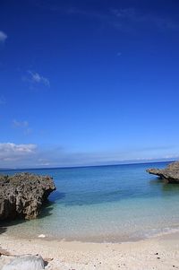青さ 2008/05/15 09:00:00