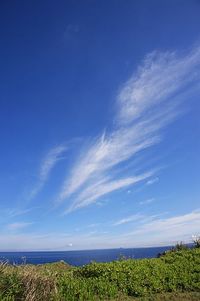 うす雲 2008/05/16 09:00:00