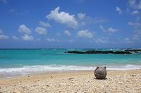 真上からの直射日光 2008/05/13 12:00:00