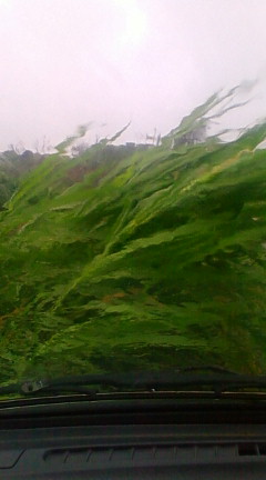 豪雨!