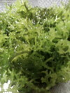 お騒がせ!