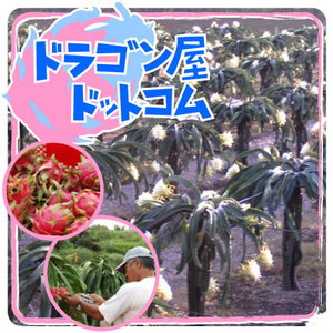 へへへははは