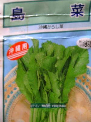 島菜!