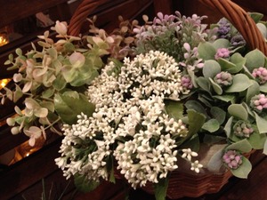 spring♪