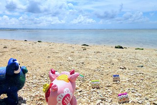 できたんだブウ~♪ できたんだブウ~♪