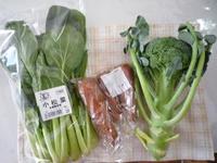 野菜の宅配　おいしっくすの小松菜でグラタンを作ったよ～＾＾
