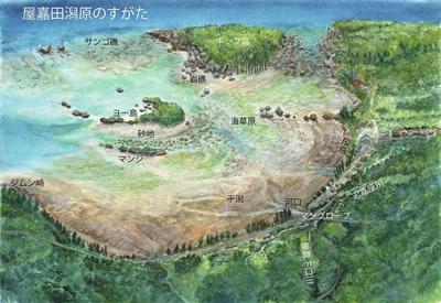 屋嘉田潟原ツアー