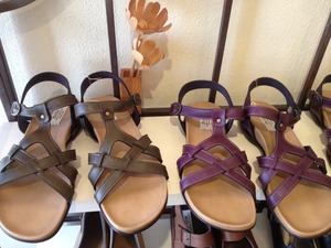 やっと入荷!!!