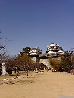 松山城ヾ(^▽^)ノ