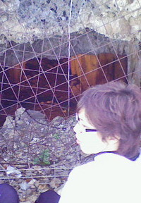 ~ 大人の秘密基地発見 ~