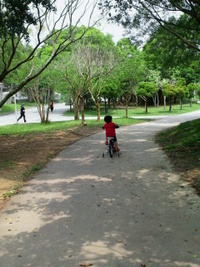 ~ 運動公園おすすめ日記 ~
