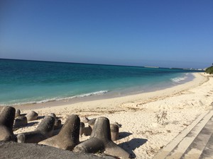 社員研修IN伊江島 社員研修IN伊江島